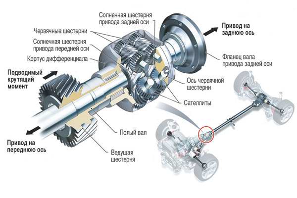 устройство дифференциала Торсен